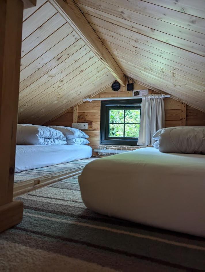 'Monktonmead Lodge' In Secluded Setting, With Private Indoor Pool. Райд Екстериор снимка